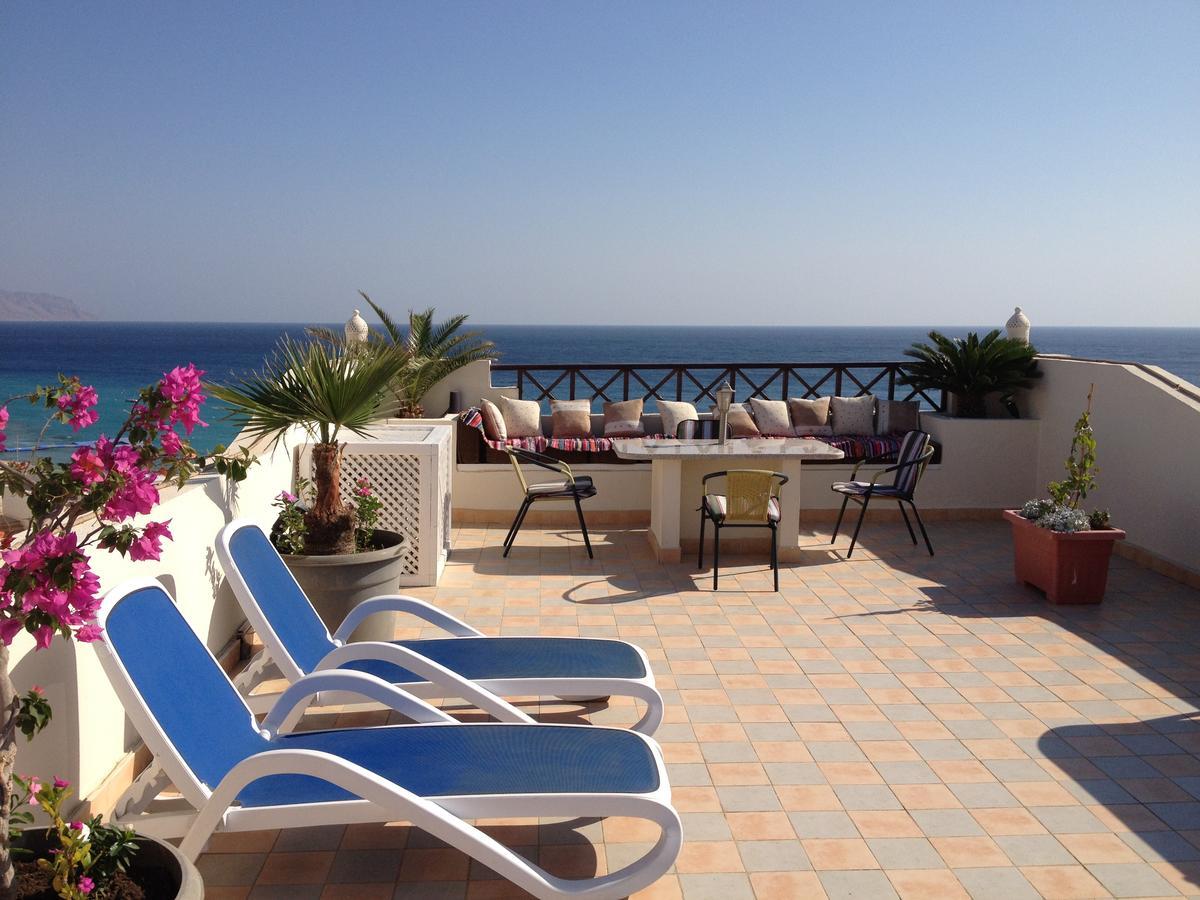 שארם א-שייח Sharks Bay Oasis Apartment מראה חיצוני תמונה