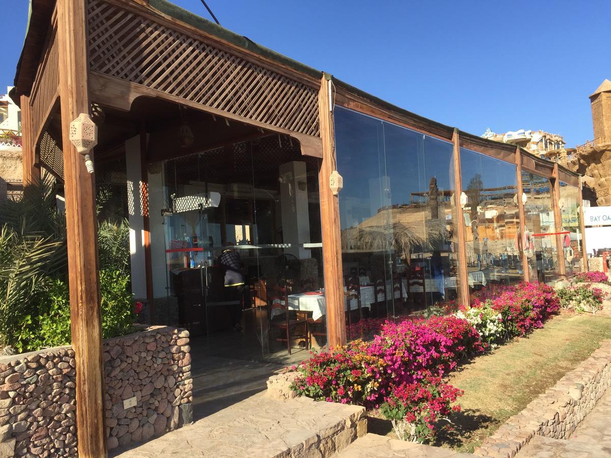 שארם א-שייח Sharks Bay Oasis Apartment מראה חיצוני תמונה